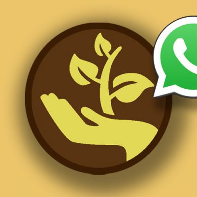 Whatsapp Historia Familiar
